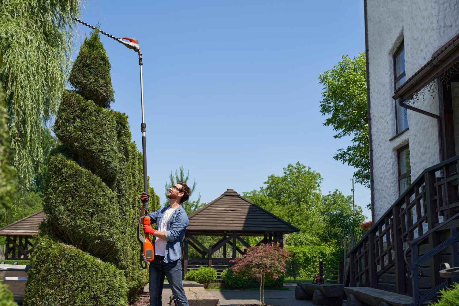 Best Palm Tree Trimming  in USA